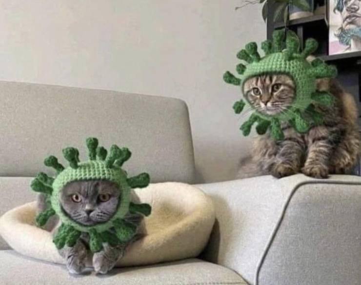 Click image for larger version

Name:	daily_picdump_3940_640_41.jpg
Views:	92
Size:	141.3 KB
ID:	17382