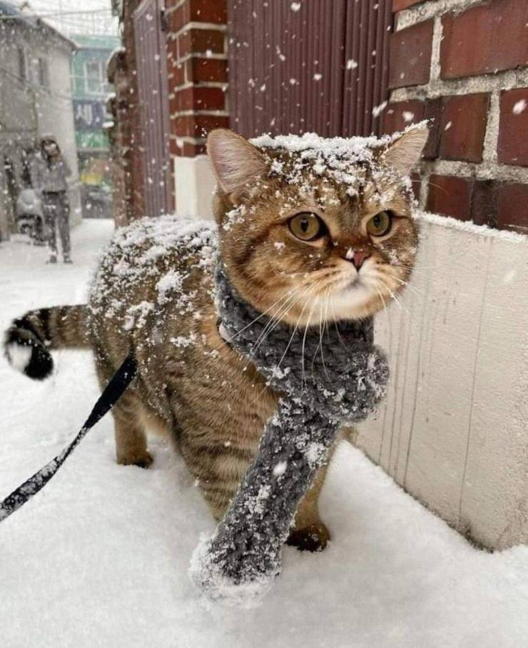 Click image for larger version

Name:	daily_picdump_3940_640_high_72.jpg
Views:	95
Size:	295.8 KB
ID:	17384