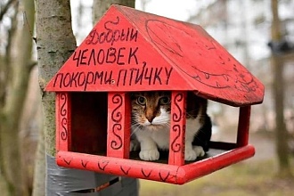 Click image for larger version

Name:	1646737076186688975.jpg
Views:	356
Size:	184.7 KB
ID:	18336