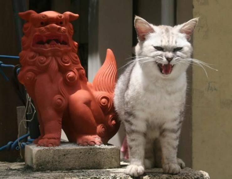 Click image for larger version

Name:	daily_picdump_3993_640_09.jpg
Views:	136
Size:	200.4 KB
ID:	18547