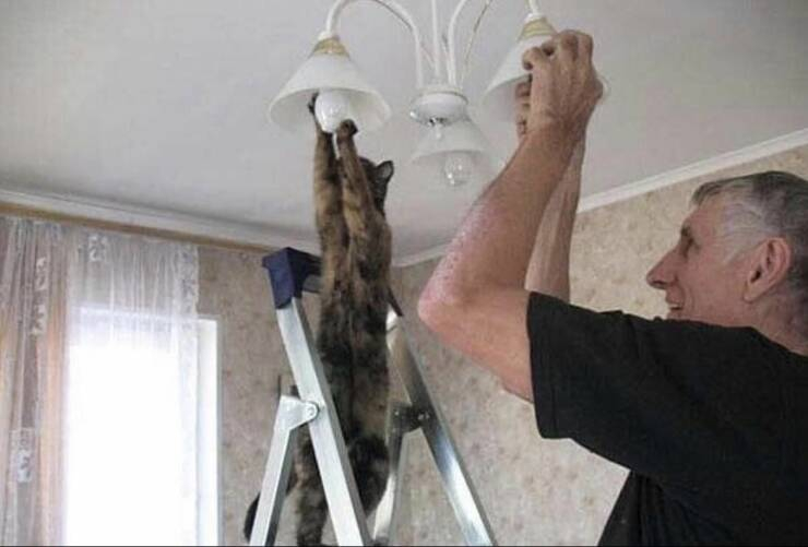 Click image for larger version

Name:	daily_picdump_3993_640_04.jpg
Views:	130
Size:	152.3 KB
ID:	18548