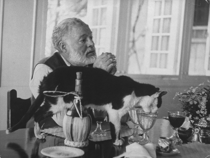 Click image for larger version

Name:	All of Ernest Hemingway House's 54 Famous 1.jpg
Views:	181
Size:	242.9 KB
ID:	18725