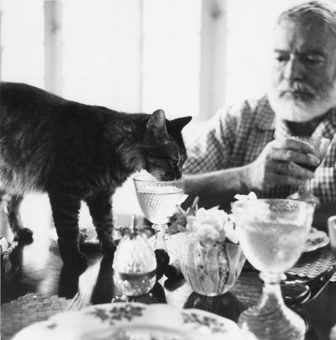 Click image for larger version

Name:	All of Ernest Hemingway House's 54 Famous 2.jpg
Views:	176
Size:	82.2 KB
ID:	18726