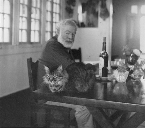 Click image for larger version

Name:	All of Ernest Hemingway House's 54 Famous 4.jpg
Views:	183
Size:	78.4 KB
ID:	18727