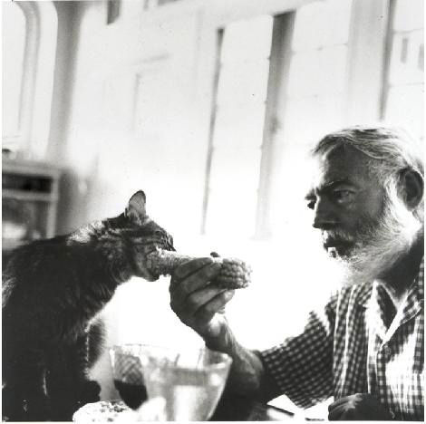 Click image for larger version

Name:	All of Ernest Hemingway House's 54 Famous 3.jpg
Views:	183
Size:	78.8 KB
ID:	18724