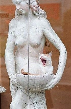 Click image for larger version

Name:	b5f86b5f287f9ee9c73a43b8dd662f96e4a09b81.jpg
Views:	78
Size:	114.5 KB
ID:	18865