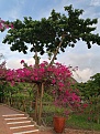 Click image for larger version

Name:	IMG_20210222_072503.jpg
Views:	302
Size:	7.89 MB
ID:	10526