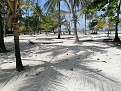Click image for larger version

Name:	IMG_20210221_141305.jpg
Views:	288
Size:	9.09 MB
ID:	10528
