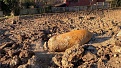 _117324656_exeter_bomb_dc_police_1_976.jpg