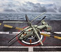 K-11.jpg