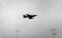 2716078_900.jpg
