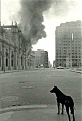 EELFOQ9WwAAsh9W.jpg