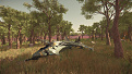 ScreenShot0656.jpg