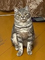 Click image for larger version

Name:	161044886411311743.jpg
Views:	291
Size:	279.9 KB
ID:	8979